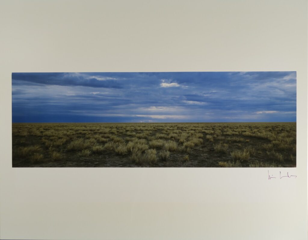 Wim Wenders Solares Fondazione delle Arti