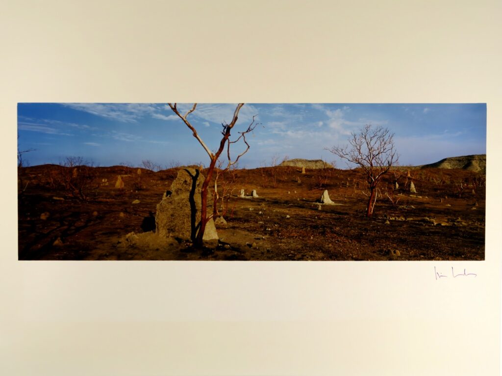 Schede opere d'arte Solares_Pagina_228_Immagine_0002